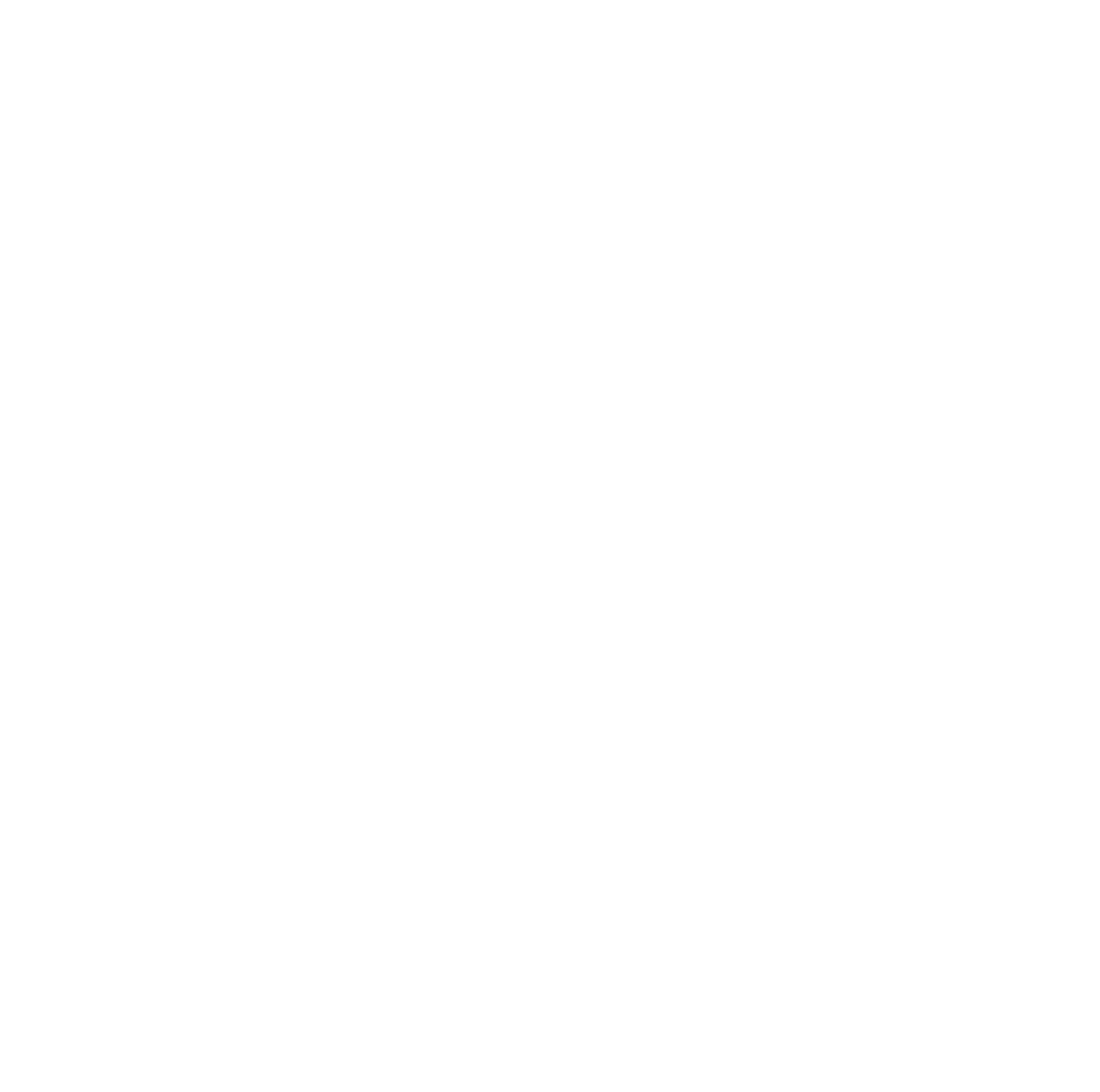 Rave Design Showroom logo