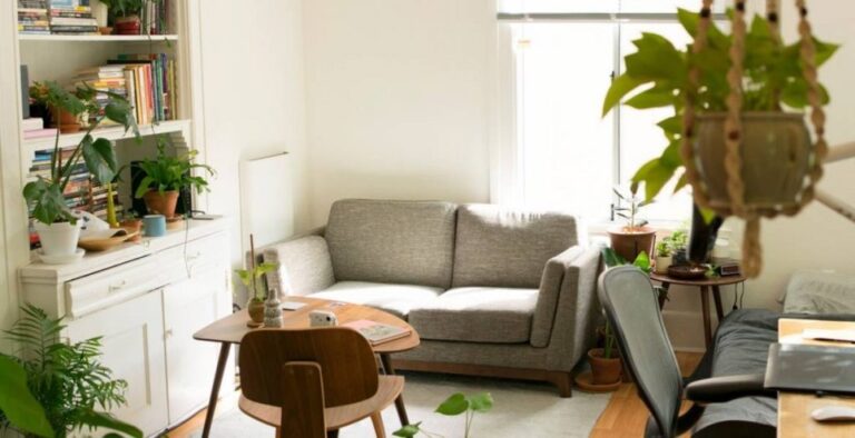 Living room with indoor plants, a white sofa, and sunlight streaming through the windows